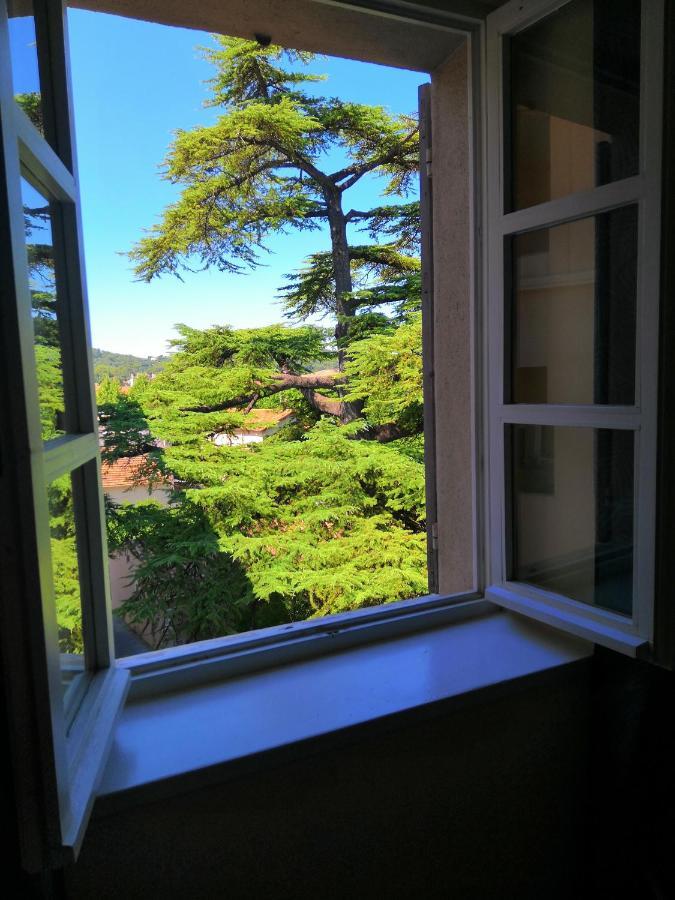 Hotel Le Victoria 드라기냥 외부 사진